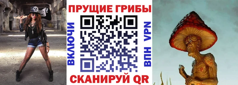 Купить  Суровикино  Галлюциногенные грибы Psilocybe 